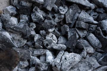 coal
