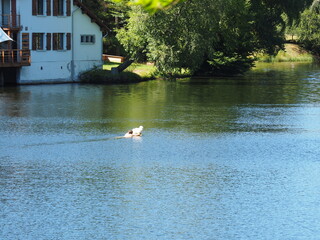 Hasselfurter Weiher – Stausee bei Bitsch in Frankreich