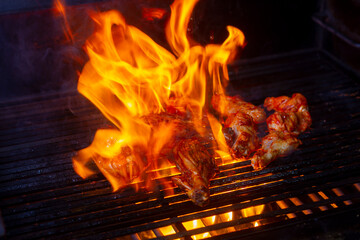 Tasty chicken legs and wings on the grill with fire flames.with cop space
