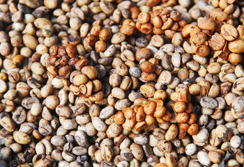 Traditional Indonesian coffee names