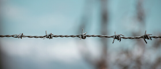 Barbed wire fence