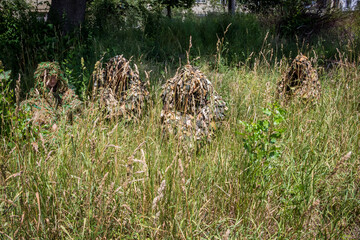 Naklejka na ściany i meble a girl and volunteers sit in camouflage robes - kikimors in the grass made for the front, Ukraine