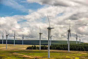 Wind power energy at Linn Dean nature reserve.