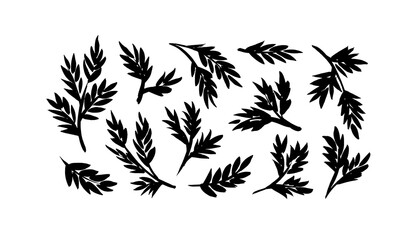 Rustic decorative plants, leaves and branches collection. Hand drawn vintage vector design elements. Black botanical silhouettes. Tree branches, eucalyptus, herbs. Leaves and foliage isolated on white