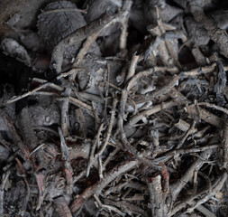 close up of charcoal