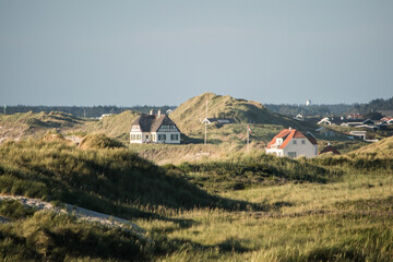 in den Dünen
