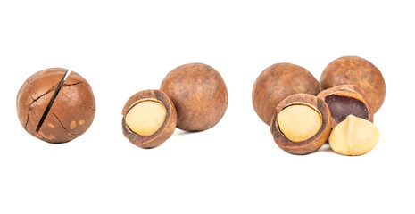 Macadamia nut isolate, set