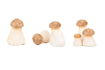 Eringi mushrooms isolate, set