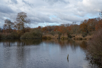 Marsh landscape in winter at Itteville