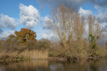 Marsh landscape in winter at Itteville