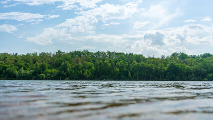 A forest right on the water at the Störmthaler Lake near Leipzig