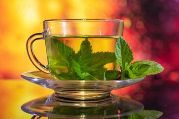 Cups of tea with fresh mint on multicolored background