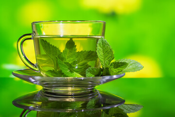 Cups of tea with fresh mint on green yellow background