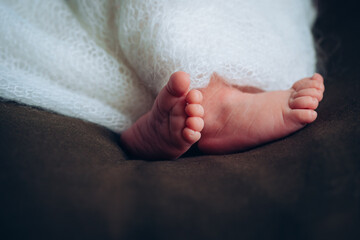 Legs of a newborn. Baby feet covered with white blanket. The tiny foot of a newborn in soft selective focus. High quality photo