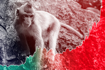 Monkey and rising diagram of monkeypox virus cases during the outbreak