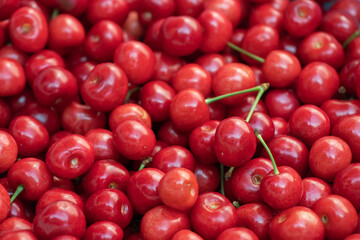 Macro photo fresh cherry. Stock photo background sweet cherry