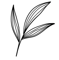 Leaves Line Art