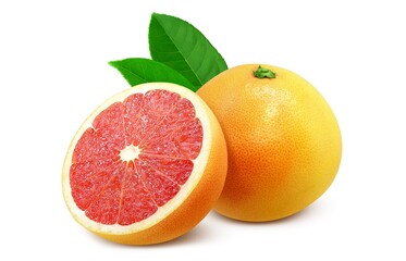 ピンクグレープフルーツ イラスト リアル セット