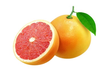 ピンクグレープフルーツ イラスト リアル セット