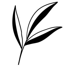 Leaves Line Art