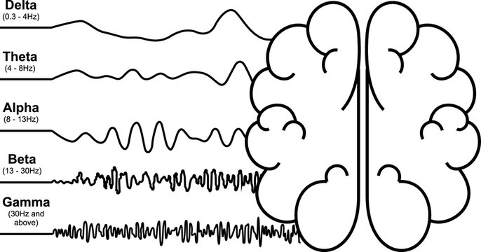 Brainwave frequencies signal Analysis, human brain's response, neural network
