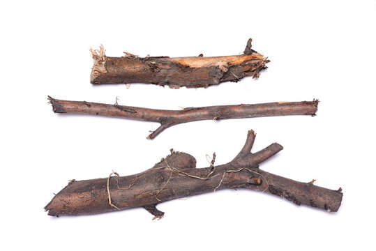 Dry tree branches isolated on the white background. Firewood.