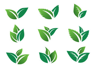 stock vector set green leaf icon eco. green leaves 

plant nature garden. icon botanical collection

