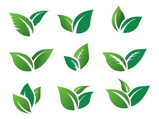 stock vector set green leaf icon eco. green leaves 

plant nature garden. icon botanical collection

