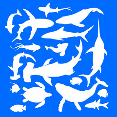 A large set of underwater inhabitants. Set of different fish.