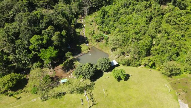 PAKAMAYU TINGO MARIA 2024