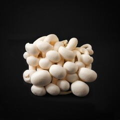 Popular uncooked fresh healthy Asian edible white mushrooms Bunapi Shimeji or Hypsizygus Tessellatus on black background. Asian cuisine.Healthy vegetarian and vegan eating.