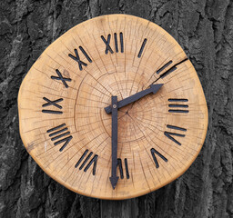 Old clock on a wooden wall. Close-up. The fight for the environment