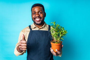 latin man gardener holds pot with a plants in studio blue background