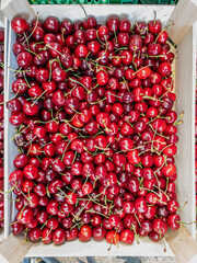 Red and rainier cherries.