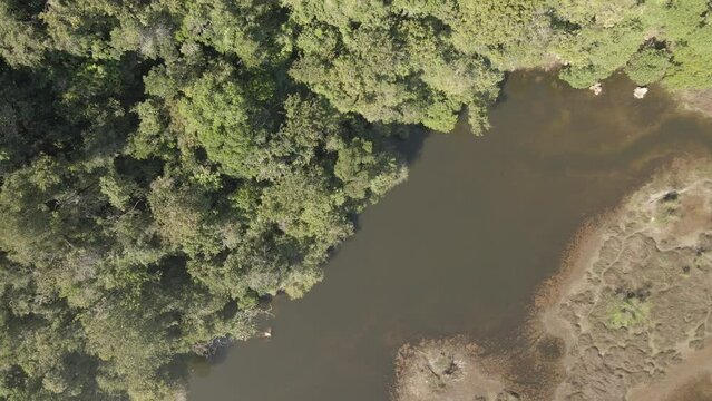 vista de laguna mistica en leoncio prado en color nativo para colorear