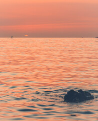 Fototapeta na wymiar Croatia, sunset view, seaside on Istria
