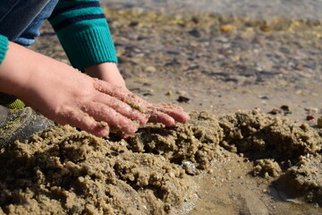 Kinderhände erkunden Sand