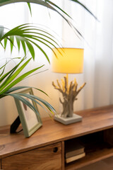 interior design with plant and light