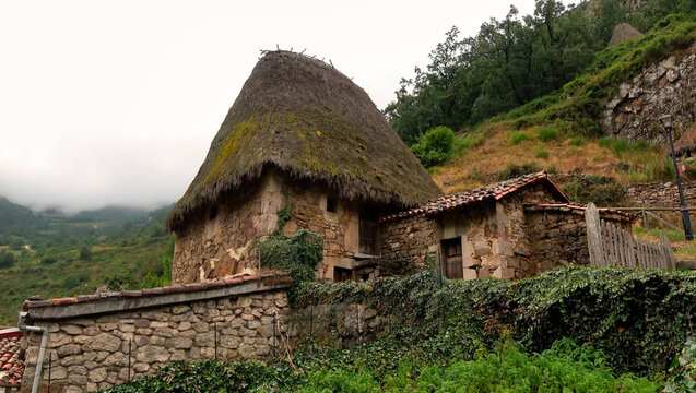 photographic image of old houses built with stones and plant materials, town in Asturias, in the middle of the vegetation. Spain