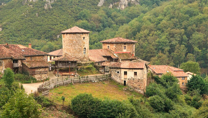 Fototapeta na wymiar photographic image, houses of old construction stones and plant elements, town of, Asturias. Spain