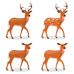Naklejka na ściany i meble Deer cartoon character set vector illustration on white background, wild animal.