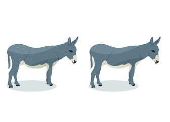 Donkey cartoon vector illustration on white background, wild animal. 
