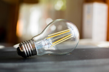 Decorative edison style LED filament light bulb