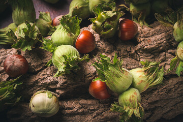 Fresh, green hazelnuts, close-up, on the bark of a walnut tree, uncleaned, top view, rustic, no...