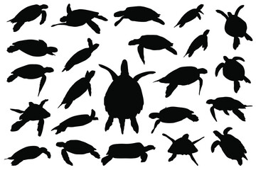 Tortoise Silhouette vector file for download