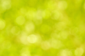 Fototapeta na wymiar Bokeh circle with green sparkles background. Grass glitter backdrop. Tree texture. New year luxury snow. Copyspace. Shimmer confetti wallpaper. Dreamy shiny design detail