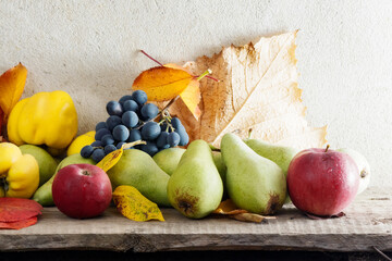 autumn crop on the wooden board. lots of ripe fruits. natural grown food and rural lifestyle