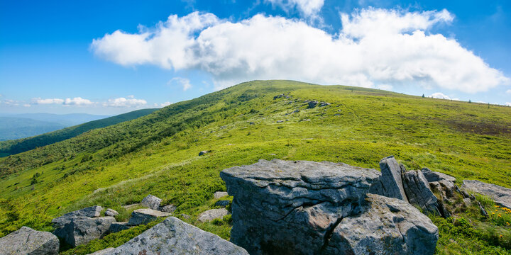 carpathian mountain summer landscape. green hills and stones on a sunny day with fluffy clouds. wonderful scenery of mnt runa