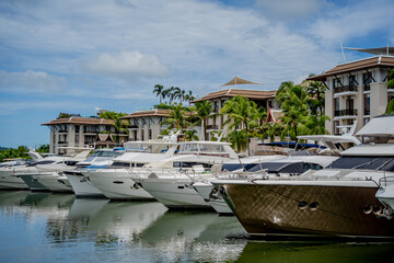 Luxury yachts are moored in marina of asian region