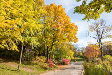 Fototapeta na wymiar walkway in city park Westpark munich, autumn season